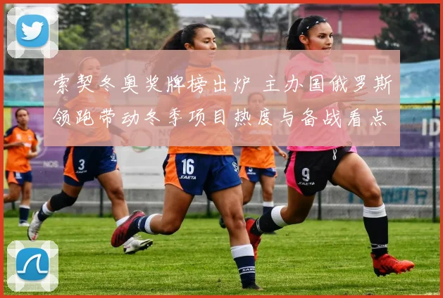 索契冬奥奖牌榜出炉 主办国俄罗斯领跑带动冬季项目热度与备战看点